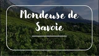 La Mondeuse de Savoie