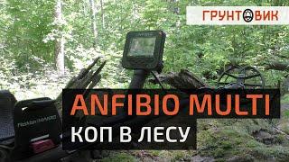 Коп в лесу с металлоискателем Anfibio Multi