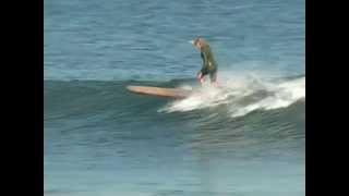 Malibu logging 2005. Herbie Fletcher, Tyler Warren, Alex Knost, Kevin Connelly.