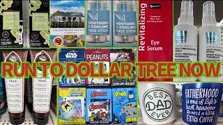 DOLLAR TREERUN TO DOLLAR TREE FOR THESE NAME BRAND FINDS FOR $1.25‼️ #dollartree #new #shopping