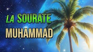 L'explication de la Sourate 47 - Muhammad