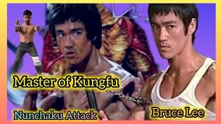 Bruce lee is the Master: A Demonstration of Nunchaku attack and hit (Skill) ! No one like Brucelee