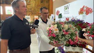 New Annuals from Proven Winners for 2026 and Beyond!