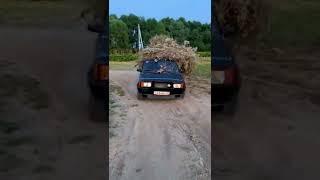 Сельские движения