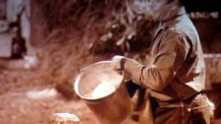 Wizard of Oz - Pig Pen