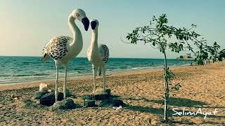 FLAMINGO BEACH in Ras Al Khaimah || Summer Getaway in UAE