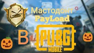 Мастодонт Payload