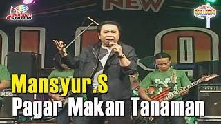 Mansyur S - Pagar Makan Tanaman (Official Music Video)