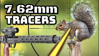 7.62mm Tracers! (Pest Control)