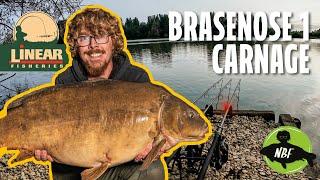 BRASENOSE 1 WENT OFF!  Carp Fishing Carnage at Linear Fisheries