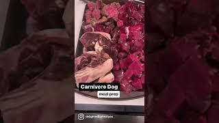 Carnivore diet for a dog!