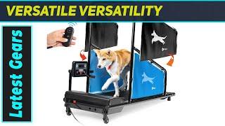 reviewBest Treadmill for Dogs? Lifepro PawRunner Dog Treadmill