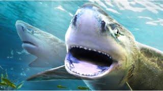 Fishing clash THE LEGEND OF GALAPAGOS