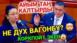 ТАШИЕВ ЧАРЧАП КАЛДЫ АКЫРЫНДАДЕПУТАТТАР ТАЛАП ЖЕП САЛЫШАБЫ? ЭЭХ