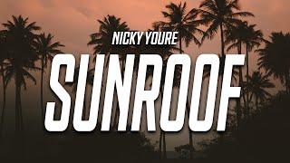 Nicky Youre - Sunroof (Lyrics) feat. dazy “i got my head out the sunroof”