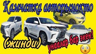 Петропавловск Камчатски авто из японии, авторынок