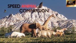 SPEED COMPARISON 3D 4K/ Which animals are the fastest?p.t2