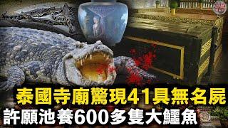 泰國寺廟驚曝41具無名遺體，許願池養了600多條大鱷魚！吸食販賣違禁品、聚眾亂搞、私藏軍事武器、活人祭祀，泰國寺廟這是怎麼了？【迷霧調查組】泰國案件 案件解說 案件調查