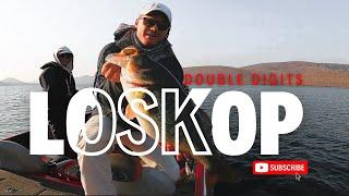 12LB Bass caught at Loskop Dam | South Africa Bass fishing|