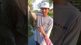 Luke’s Nice Crappie from the Dock! | Sugar Point Resort, Leech Lake