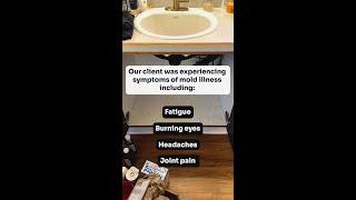Over 350K Spores of Toxic Black Mold