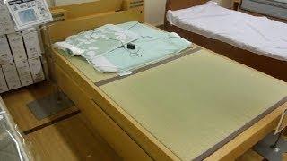 Tatami Bed in Japan!