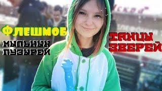 *Мыльный Флешмоб и танцы в кигуруми*