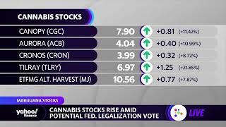 Cannabis stocks rise amid potential federal legalization vote