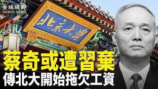 下台徵兆？蔡奇異常低調被認為是其即將出局，網傳北大圖書館員工近3個月沒發工資【全球視野】