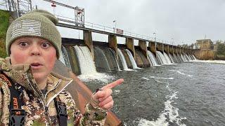 Fishing Massive Spillway, Huge Fish & Sautéed Morels