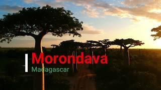 Allées du baobab and Morondava, West Madagascar highlights