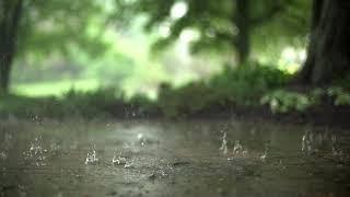 [Slow Motion] Rain Stock Footage | No Copyright Video | Royalty Free