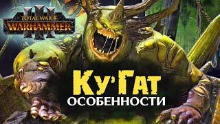 Ку'Гат особенности фракции в Total War Warhammer 3 (дети Нургла)