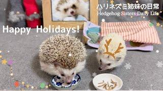 ハリネズミ姉妹のクリスマス•パーティー　                          Hedgehog Christmas Party 