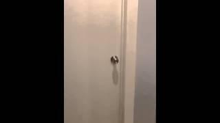 Quick Scare Lol