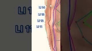 Large Intestine Meridian Acupuncture Points #acupuncturepoints