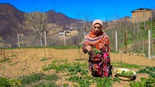 Far from Civilization : Living in the Coldest Mountain Village in Iran