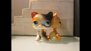 LPS: The Black Cat Behind The Black Mask