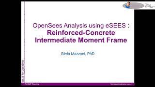 eSEES for OpenSees:  RC Intermediate Moment Frame