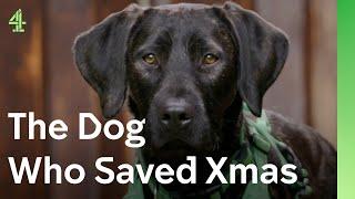 Can rescue dog make self confessed Grinch fall in love with Christmas? The Dog House  | Gigi