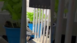pot packer by WEBER Verpackungen