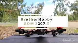 Brotherhobby GOM 2207.5 Motor 1750KV  Test