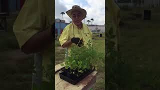 Ricardo from Texas A&M Agrilife