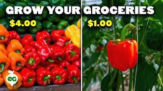 Grow These 12 Crops to Cut Your Grocery Bill 