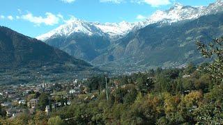 Meran - zwischen Palmen und Schnee