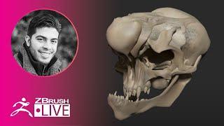 ZBrush Guides: 3D Model a Creature Skull #withme! - Pablo Muñoz Gómez - Part 1