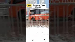 А63 маршрутка паз вектор некст нижний новгород