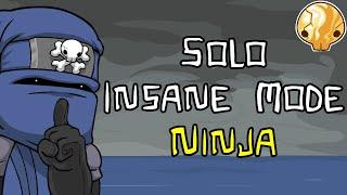 Castle Crashers - Solo Insane Mode as Ninja (No Potions)