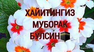 КУРБОН ХАЙИТИНГИЗ МУБОРАК/HAYIT MUBORAK