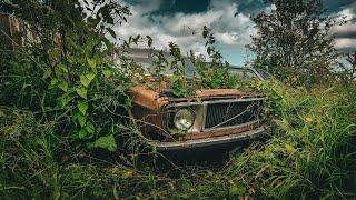 INSANE Barn Find Field! Lost Volvo 144, Morris Ambulance + MORE! | IMSTOKZE